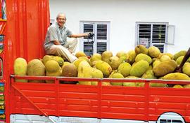 How farmer-journos made jackfruit a star in Kerala