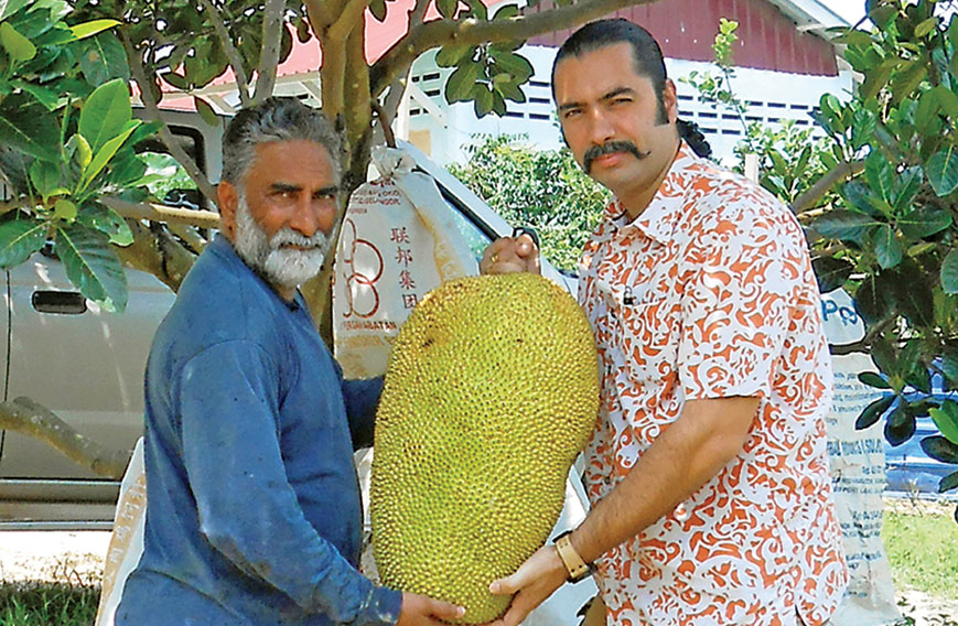Punjabi Jackfruit Quest Succeeds In Malaysia Civil Society Magazine The development of simple devices that can cut the fruit and remove the.