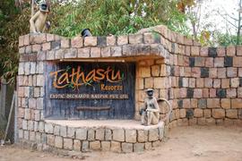 Tathastu: A rustic retreat near a jungle