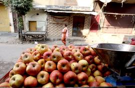 Don’t import apples, say hill farmers