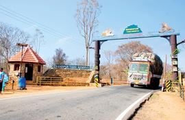 Why Bandipur is  special: jungles and rustic living