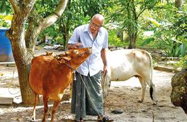 Kerala farmers give Desi cows get a brand name