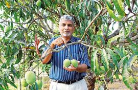 Anthony Pacheco’s idyllic organic farm in Goa