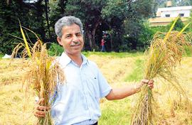 Udupi school grows paddy to revive fields