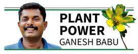 POWER OF PLANTS