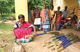 Insights into Adivasi livelihoods