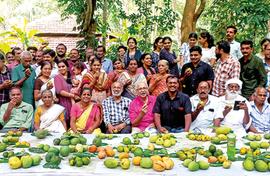 India’s mango village has 102 varieties