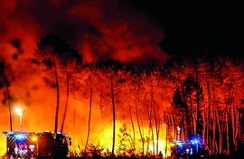 Tree count after fires. But who’s to blame in Goa?