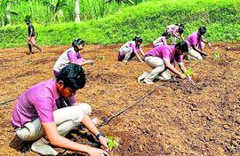 Students learn farming by getting down to it